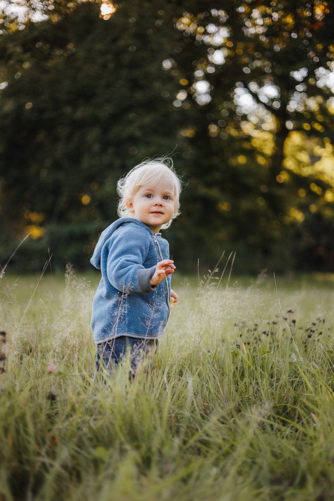 Neugieriges Kleinkind entdeckt die Wiese beim Familien Fotoshooting Köln